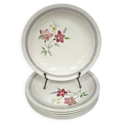 Lot de 6 assiettes demi creuses anciennes Salin France "Martine"