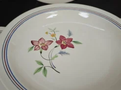 Lot de 6 assiettes demi creuses anciennes Salin France