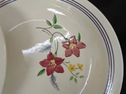 Lot de 6 assiettes demi creuses anciennes Salin France