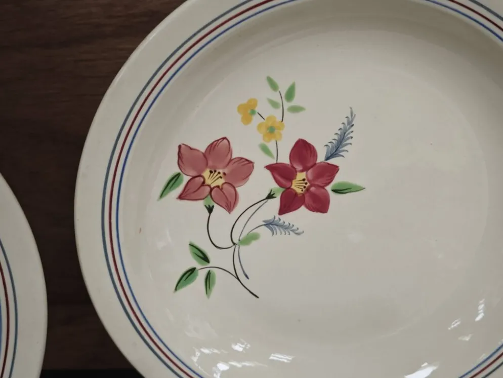 Lot de 6 assiettes demi creuses anciennes Salin France "Martine"