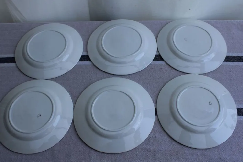 Lot de 6 assiettes à dessert