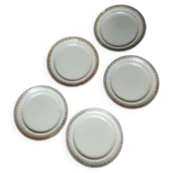 Lot de 5 assiettes à dessert en grès