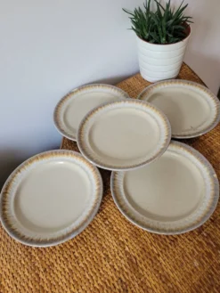 Lot de 5 assiettes à dessert en grès