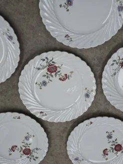 Lot de 6 assiettes à dessert KG Lunéville Service Fleurs des Indes