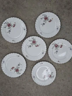 Lot de 6 assiettes à dessert KG Lunéville Service Fleurs des Indes