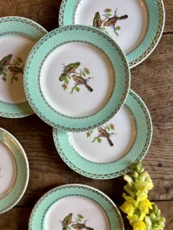 Lot de 8 assiettes à dessert vintage décors d'oiseaux