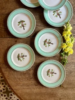 Lot de 8 assiettes à dessert vintage décors d'oiseaux