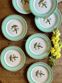 Lot de 8 assiettes à dessert vintage décors d'oiseaux