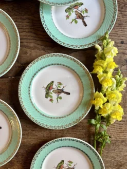 Lot de 8 assiettes à dessert vintage décors d'oiseaux