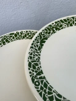 Lot de 10 assiettes en céramique à décor de feuillage vert