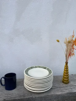 Lot de 10 assiettes en céramique à décor de feuillage vert