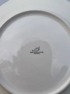 Lot de 10 assiettes en céramique à décor de feuillage vert