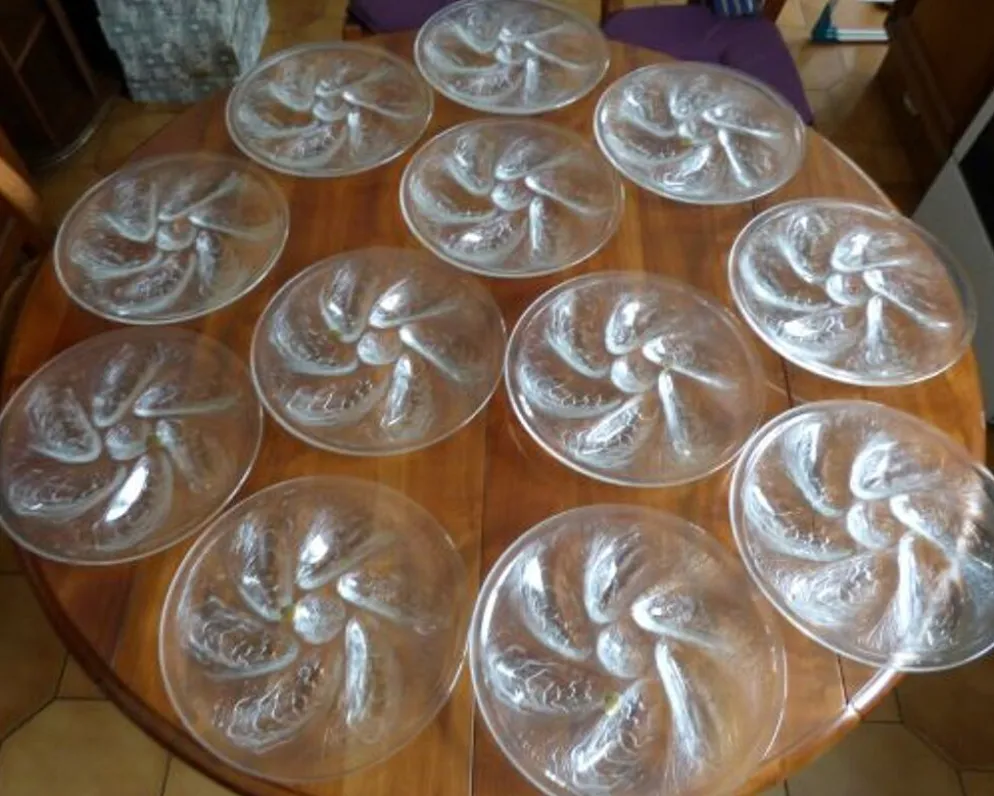 Lot de 12 assiettes à huitres vintages années 70 Arcoroc