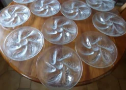 Lot de 12 assiettes à huitres vintages années 70 Arcoroc
