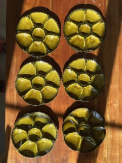 Lot de 6 assiettes à huîtres Gien