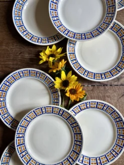 Lot de 8 assiettes plates anciennes - Robinson de Badonvillier