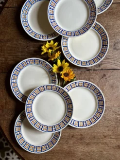 Lot de 8 assiettes plates anciennes - Robinson de Badonvillier