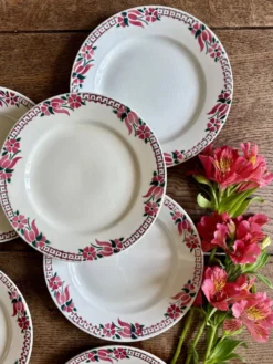 Lot de 6 assiettes plates anciennes - Saint Amand Céranord