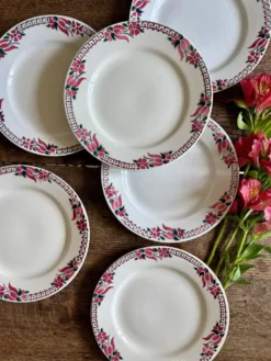 Lot de 6 assiettes plates anciennes - Saint Amand Céranord