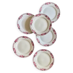 Lot de 6 assiettes plates anciennes - Saint Amand Céranord