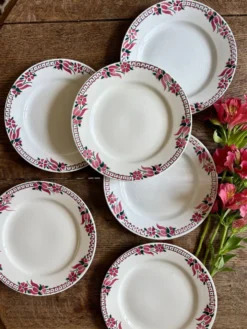 Lot de 6 assiettes plates anciennes - Saint Amand Céranord