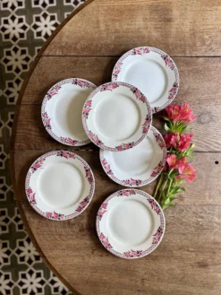 Lot de 6 assiettes plates anciennes - Saint Amand Céranord
