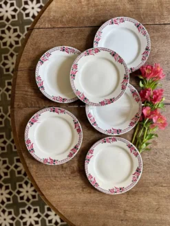 Lot de 6 assiettes plates anciennes - Saint Amand Céranord