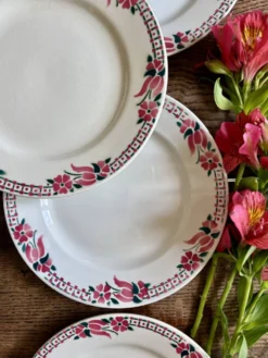 Lot de 6 assiettes plates anciennes - Saint Amand Céranord