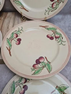 Lot de 6 assiettes plates Boch La Louvière Belgique modèle 2460 décor cerises polychrome
