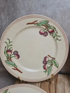 Lot de 6 assiettes plates Boch La Louvière Belgique modèle 2460 décor cerises polychrome