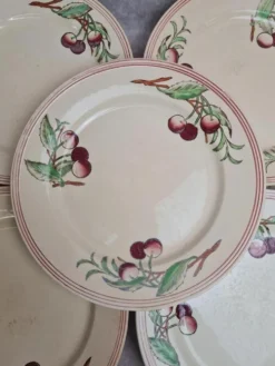 Lot de 6 assiettes plates Boch La Louvière Belgique modèle 2460 décor cerises polychrome