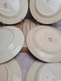 Lot de 6 assiettes plates Boch La Louvière Belgique modèle 2460 décor cerises polychrome