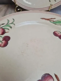 Lot de 6 assiettes plates Boch La Louvière Belgique modèle 2460 décor cerises polychrome