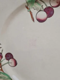 Lot de 6 assiettes plates Boch La Louvière Belgique modèle 2460 décor cerises polychrome