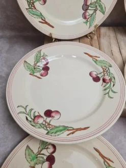 Lot de 6 assiettes plates Boch La Louvière Belgique modèle 2460 décor cerises polychrome