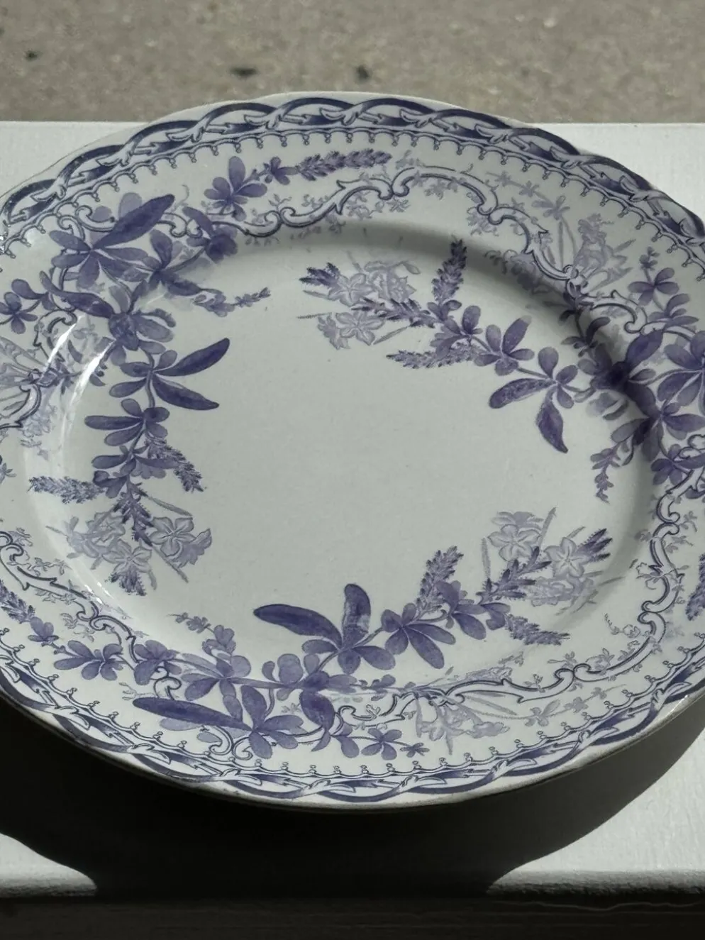 Lot de 5 assiettes plates en faïence à décor floral couleur lavande H2 D22