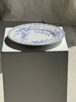 Lot de 5 assiettes plates en faïence à décor floral couleur lavande H2 D22