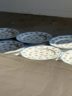 Lot de 10 assiettes plates en porcelaine de Limoges France à fleurs