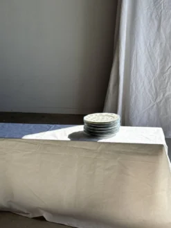 Lot de 10 assiettes plates en porcelaine de Limoges France à fleurs