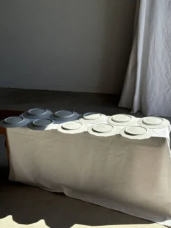 Lot de 10 assiettes plates en porcelaine de Limoges France à fleurs