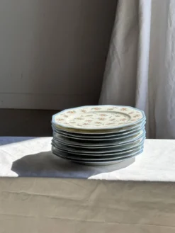 Lot de 10 assiettes plates en porcelaine de Limoges France à fleurs