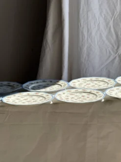 Lot de 10 assiettes plates en porcelaine de Limoges France à fleurs