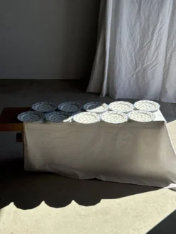 Lot de 10 assiettes plates en porcelaine de Limoges France à fleurs