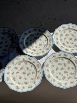 Lot de 10 assiettes plates en porcelaine de Limoges France à fleurs