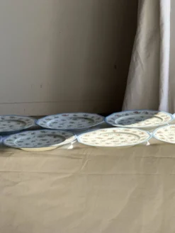 Lot de 10 assiettes plates en porcelaine de Limoges France à fleurs