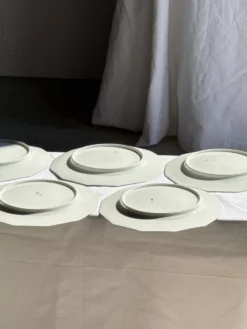 Lot de 10 assiettes plates en porcelaine de Limoges France à fleurs