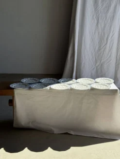 Lot de 10 assiettes plates en porcelaine de Limoges France à fleurs