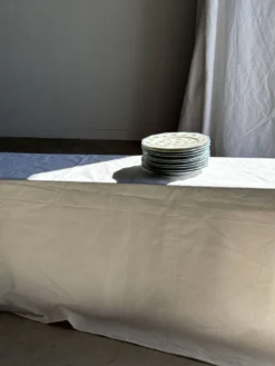 Lot de 10 assiettes plates en porcelaine de Limoges France à fleurs