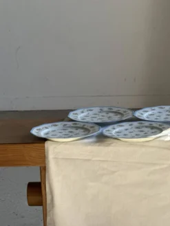 Lot de 10 assiettes plates en porcelaine de Limoges France à fleurs