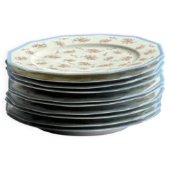Lot de 10 assiettes plates en porcelaine de Limoges France à fleurs